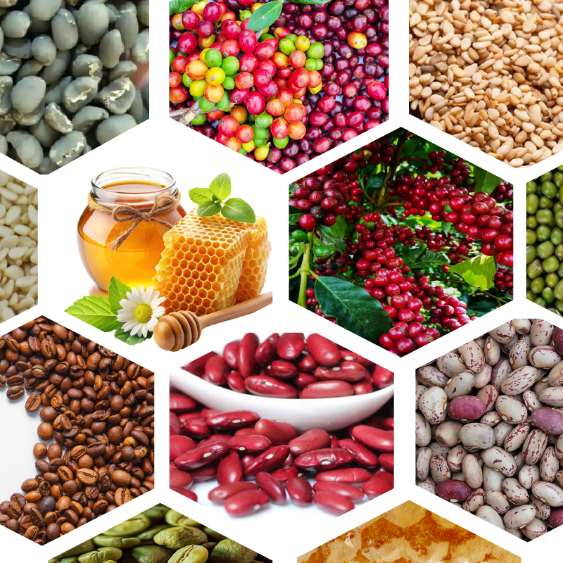 Bamos Coffee Export team and operations